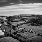 Domaine La Florane Vignoble Visan Saint Maurice