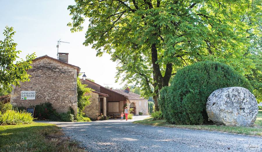 Domaine Gayrard Gaillac