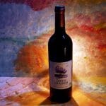 Château les Aubiers Blaye Côtes de Bordeaux Rouge 2020 Vignoble Gabriel & Co