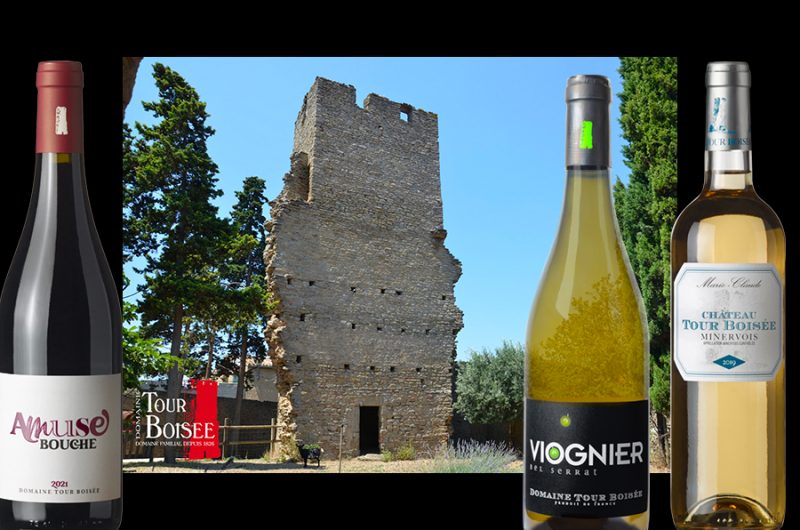 Château La Tour Boisée Jean-Louis Poudou AOP Minervois