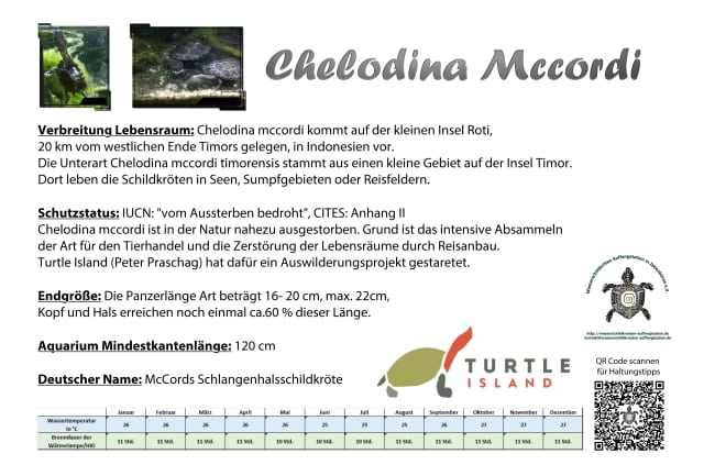 Aquariumschild für Chelodina Mccordi mit wichtigen Infos