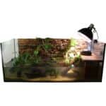 Premium Aquarium Set 100cm „Adult“