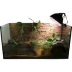 Standard Aquarium Set 80cm „Baby“