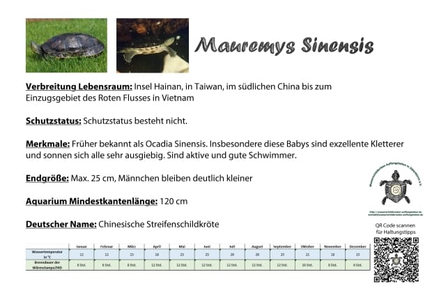 Mauremys sinensis Informationsschild Haltung Infos