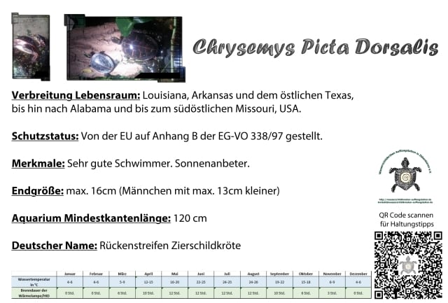 chrysemys picta dorsalis Informationsschild Haltung Infos