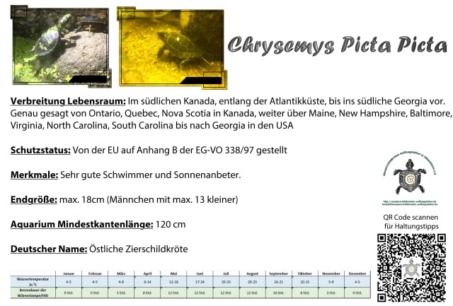 chrysemys picta picta Informationsschild Haltung Infos