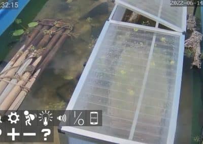 Wasserschildkröten Live Cams im Aussenbereich 2