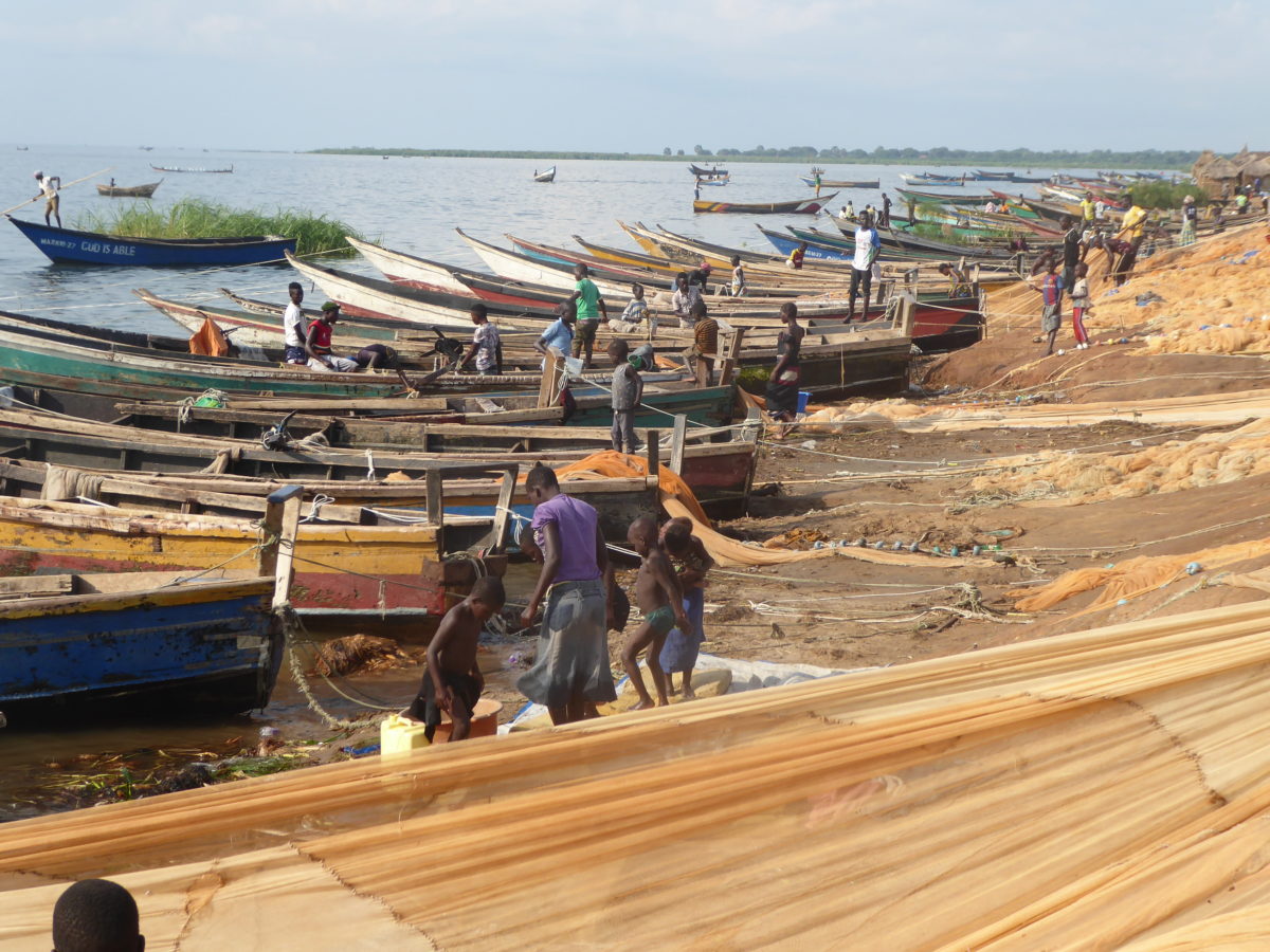 Communities living along the shores of Lake Albert