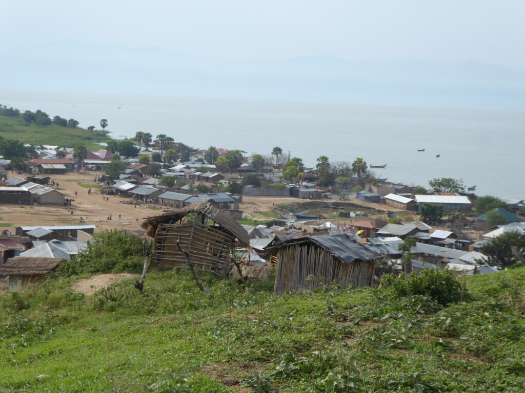 Security concerns in land tenure data collection, monitoring and reporting environmental crimes and human rights abuses in land disputes