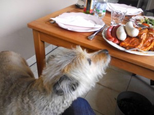 Cannelle awaiting the best