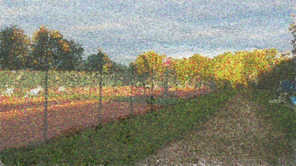 Painting of the Tennis Courts of our Tennis Club TC Rebland on a sunny autumn evening in September 2017
