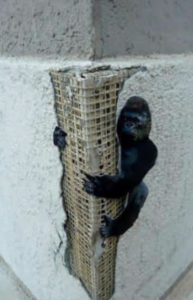 Acts of brilliant vandalism 5