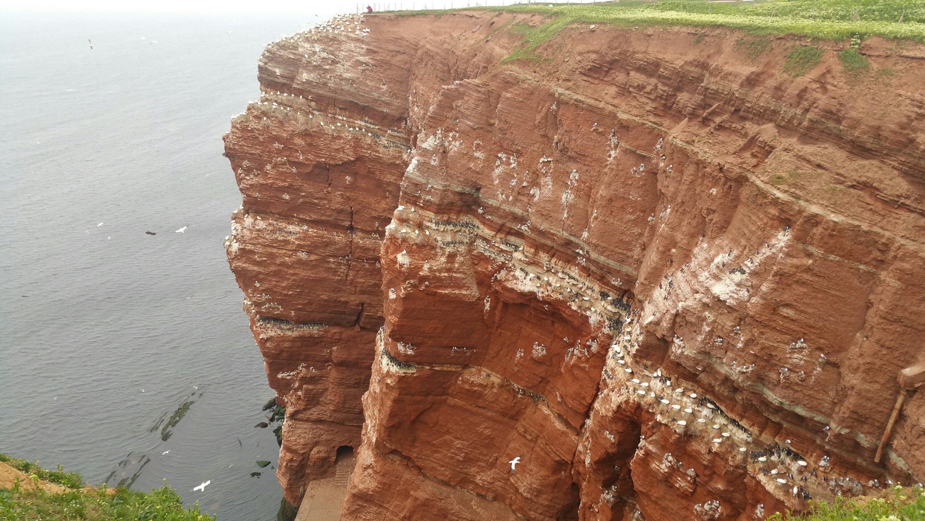 Alt img Helgoland Felswand