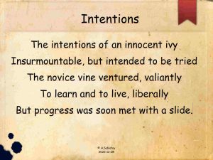 Intentions Limerick 20221211