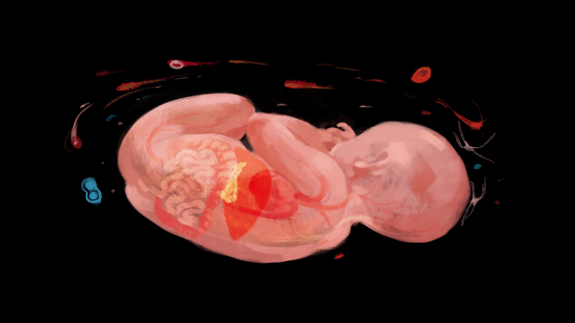 Cells-of-knowledge-1
