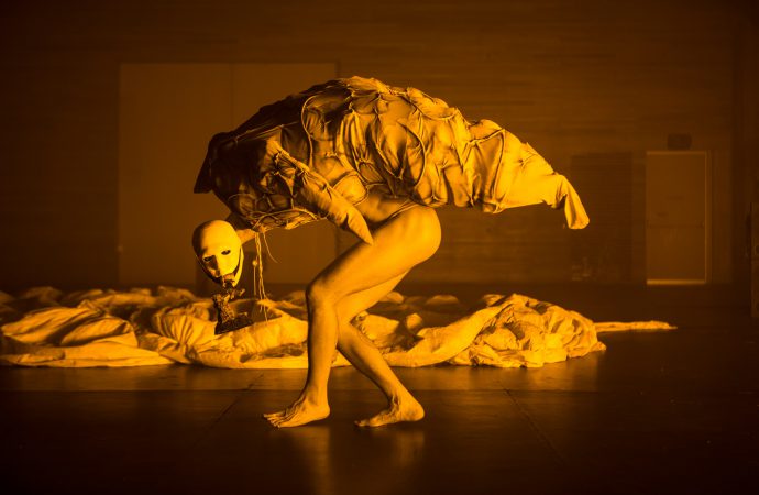 Justin Shoulder, Carrion