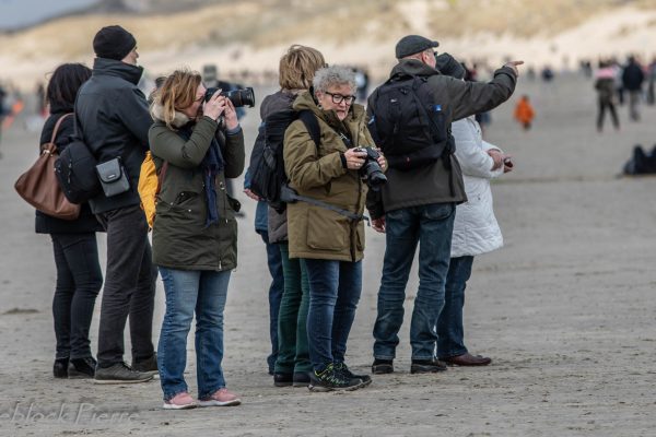 berck (6 van 7)