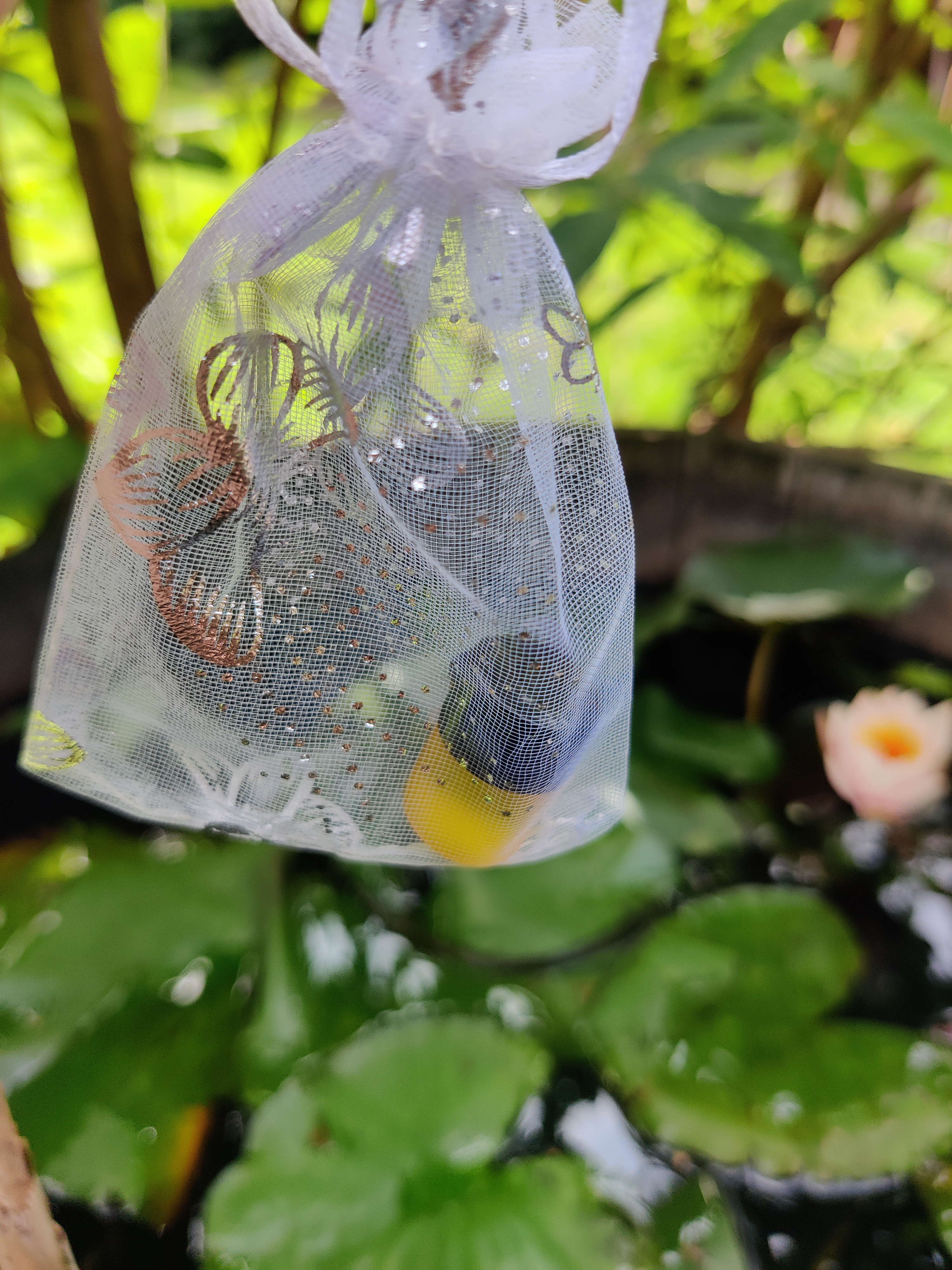 Transformative Water Bag ReST uden porto