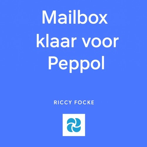 Mailboxbeheer voor ondernemers: klaar voor Peppol en e-facturatie voor 1 jan 2026