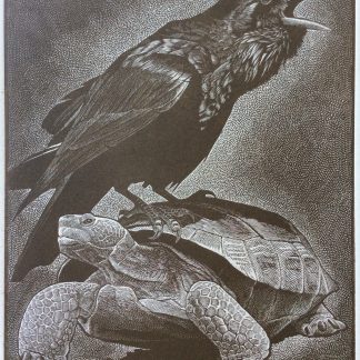 "Birdspeak", Nicholas Wilson (US) | NIWI 318/1060/2