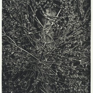 "Growth I", Richard Hricko (US)