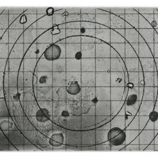 "Orientation system", Regina Stiegeler (DE)