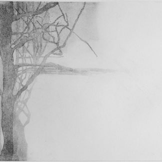 "Garden of Silence n°3", Shokoufeh Fallah (IR)⎜MI19/344/3,