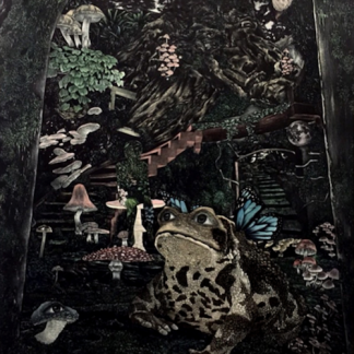 "The secret room", Ladakorn Puangbubpha (TH)⎜MA19/099/1