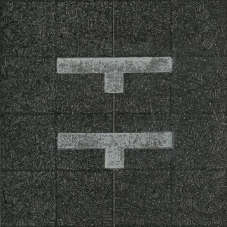 "Untitled", Piotr Żaczek (PL)