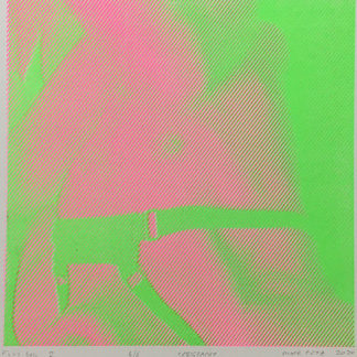 "Fluo Bull 2" Piotr Czyż (PL)
