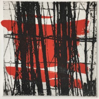 "Collective II" Malgorzata Oakes (US)