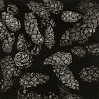 "Allégorie de la fertilité" Johannes Vandenhoeck (FR)