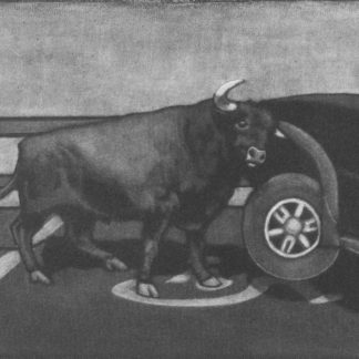 "You Can't Park Here" Sjoerd Tegelaers (NL)