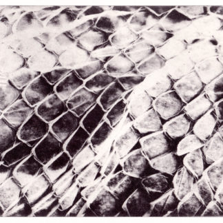 "Membrane #2" Anastasia Mikhaylova (DE)