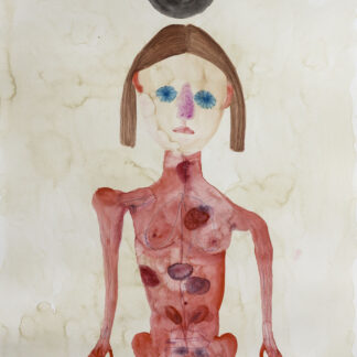 Giulia Seri (IT), Tavola Anatomica
