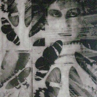 "Paula 4", Tina Meyer (DK)