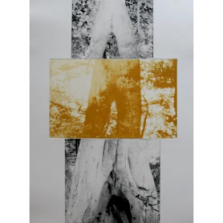 "Associative Artsdiversiteter 5", Jan Kiowsky (DK)