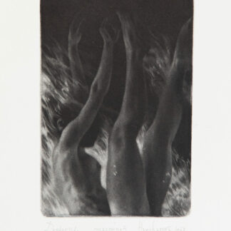 "Deepness 2", Darya Hancharova (BY)