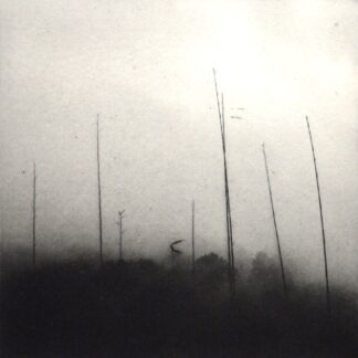 "The Final Hour I", Janne Laine (FI)