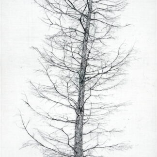 "Rubra oak han riverside 2" , Minho Kim (KR)