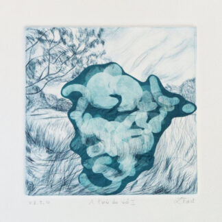 A l'oree du reel I, v.e. 9-10 Laurence Finet Photopolymer on silk Chine colle on drypoint