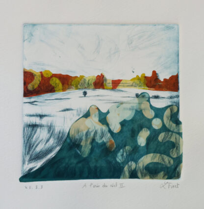 A l'oree du reel II, v.e. 6-8 Laurence Finet Photopolymer on silk Chine colle on drypoint