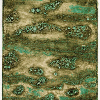 Estuaire Zevallos Tazza Collography, Viscosity, Glued China
