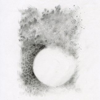 "Sprout" Hounyeh Kim (KR)