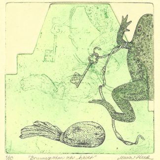 "The well frog and the sea" Maria Bianca Heed (SE)