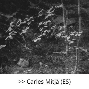 Carles Mitja (ES)
