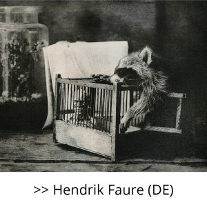 Hendrik Faure (DE)