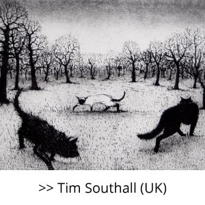 Tim Southall (UK)
