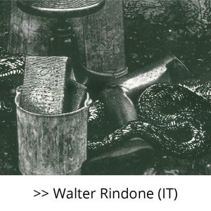 Walter Rindone (IT)