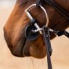 Bridle-Busy-Buddy-Chin-10